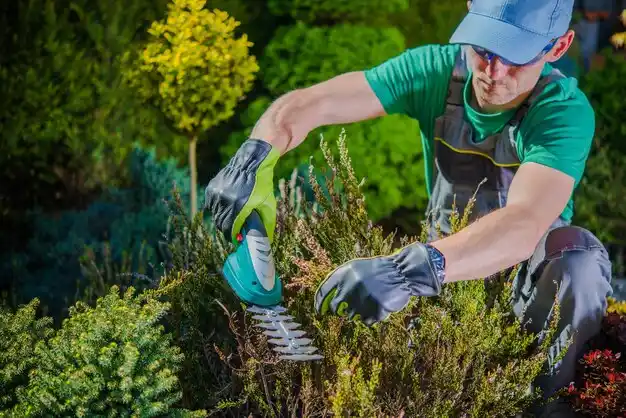 landscaping services Sterling Heights